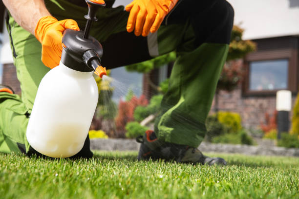 Best Best Pest Control Companies  in West, TX