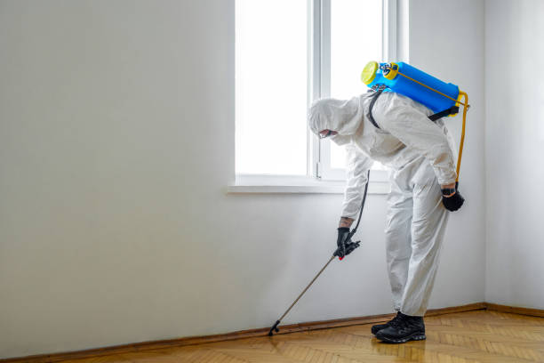 Best Termite Control Services  in West, TX